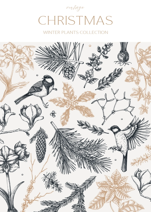 Vintage Christmas card design. Winter nature background. Conifer trees, winter flowers, birds sketches. Hand drawn vector illustration. NOT AI generated